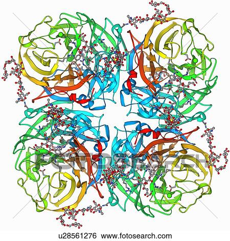 Flu virus surface protein molecule View Large Illustration Stock Illustration - Flu virus surface protein molecule. Fotosearch