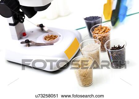 Clip Art - Food research, conceptual image. Fotosearch