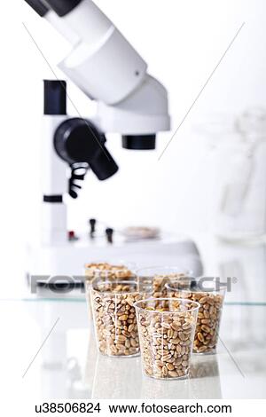 Food research, conceptual image View Large Illustration Stock Illustration - Food research, conceptual image. Fotosearch