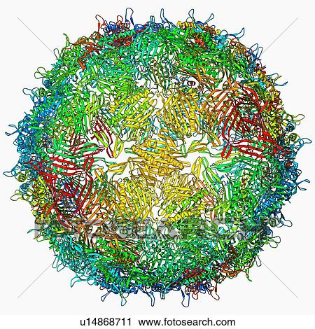 GA bacteriophage capsid View Large Illustration Clip Art - GA bacteriophage capsid. Fotosearch