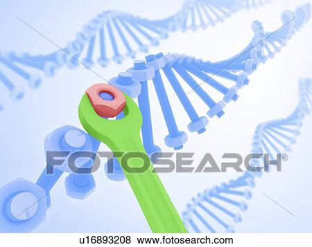 Genetic engineering, conceptual artwork View Large Illustration Stock Illustration - Genetic engineering, conceptual artwork. Fotosearch