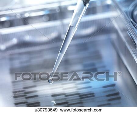 Genetic research, conceptual image View Large Illustration Stock Illustration - Genetic research, conceptual image. Fotosearch