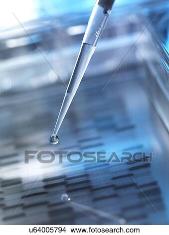 Stock Illustration - Genetic research, conceptual image. Fotosearch