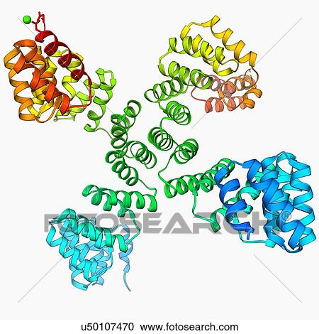 Glycosylation enzyme molecule View Large Illustration Clipart - Glycosylation enzyme molecule. Fotosearch