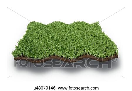 Stock Illustration - Grass, artwork. Fotosearch
