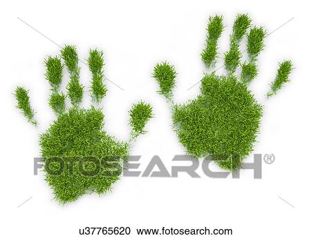 Grass palm prints, artwork View Large Illustration Clipart - Grass palm prints, artwork. Fotosearch