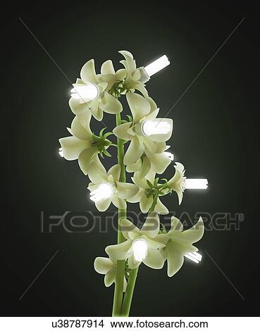 Stock Illustration - Green energy, conceptual artwork. Fotosearch