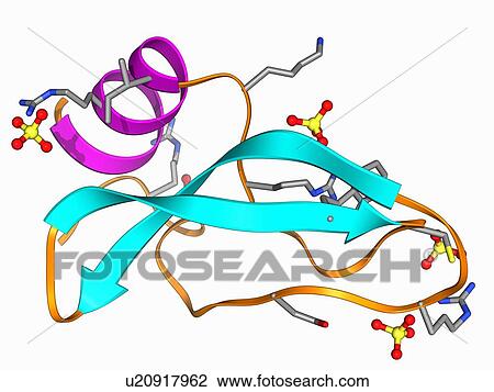 Green mamba venom molecule View Large Illustration Drawing - Green mamba venom molecule. Fotosearch