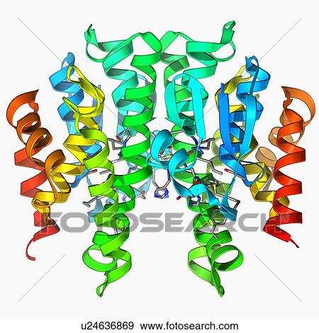 Stock Illustration - GST enzyme conferring DDT resistance. Fotosearch
