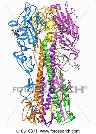 Clip Art - H1 antigen from 1918 influenza virus. Fotosearch