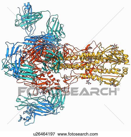 Haemagglutinin viral surface protein View Large Illustration Stock Illustration - Haemagglutinin viral surface protein. Fotosearch