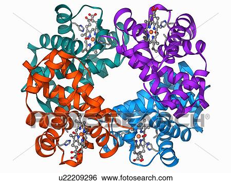 Stock Illustration - Haemoglobin molecule. Fotosearch