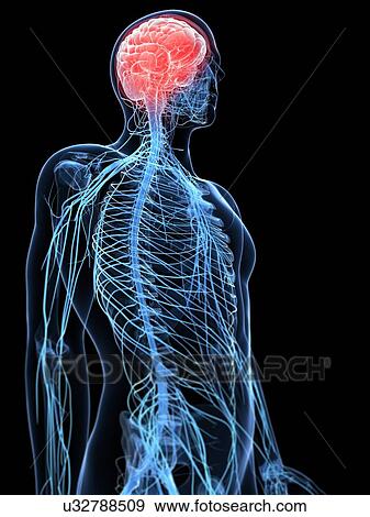 Headache, conceptual artwork View Large Illustration Stock Illustration - Headache, conceptual artwork. Fotosearch