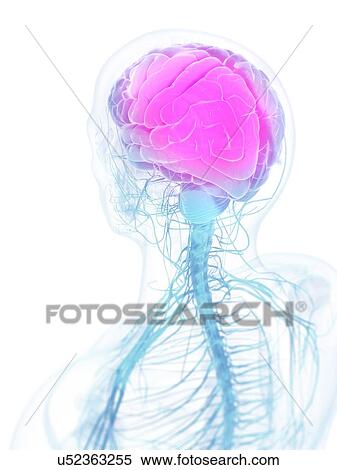 Headache, conceptual artwork View Large Illustration Stock Illustration - Headache, conceptual artwork. Fotosearch