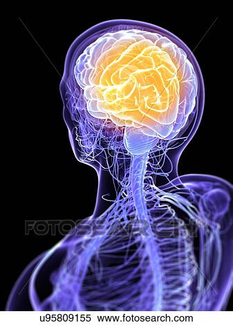 Headache, conceptual artwork View Large Illustration Stock Illustration - Headache, conceptual artwork. Fotosearch