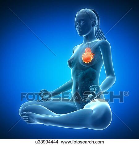 Stock Illustration - Healthy heart, artwork. Fotosearch