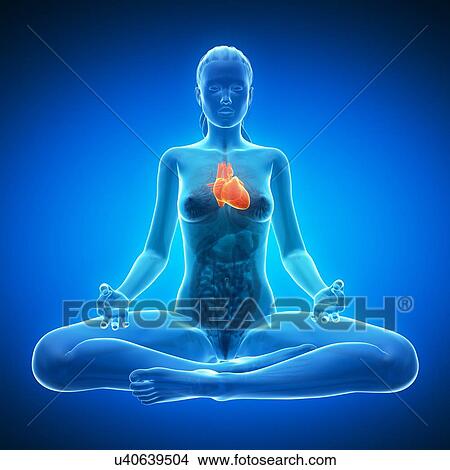 Healthy heart, artwork View Large Illustration Stock Illustration - Healthy heart, artwork. Fotosearch
