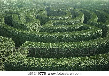 Hedge maze, artwork View Large Illustration Stock Illustration - Hedge maze, artwork. Fotosearch