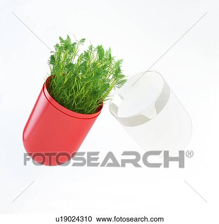 Herbal medicine, conceptual artwork View Large Illustration Clipart - Herbal medicine, conceptual artwork. Fotosearch