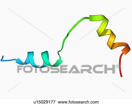 Herpesvirus immune inhibitor protein View Large Illustration Stock Illustration - Herpesvirus immune inhibitor protein. Fotosearch
