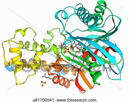 Clip Art - Hexokinase and glucose complex. Fotosearch