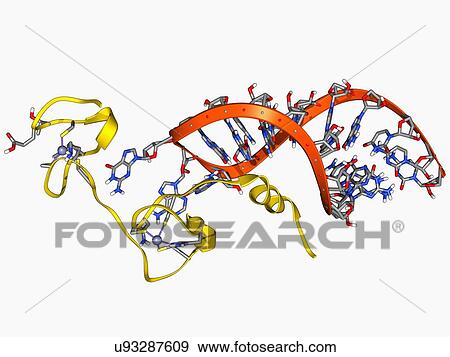 Stock Illustration - HIV nucleocapsid protein molecule. Fotosearch