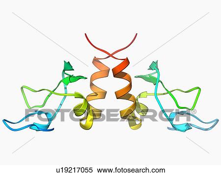 HP1 molecule C-terminal domain View Large Illustration Stock Illustration - HP1 molecule C-terminal domain. Fotosearch