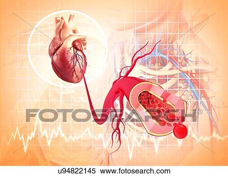Stock Illustration - Human heart, artwork. Fotosearch