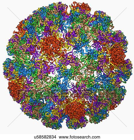 Stock Illustration - Human papilloma virus capsid. Fotosearch