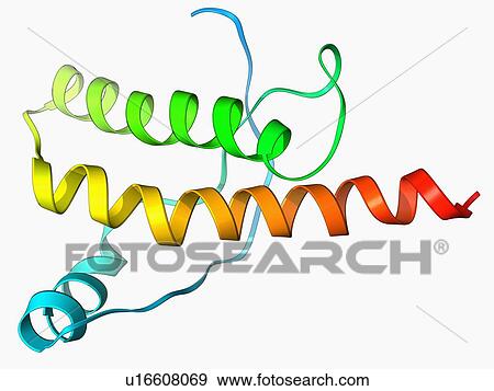 Human prion precursor protein View Large Illustration Stock Illustration - Human prion precursor protein. Fotosearch