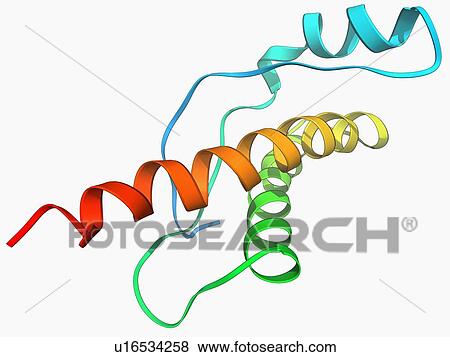 Stock Illustration - Human prion protein, molecular model. Fotosearch