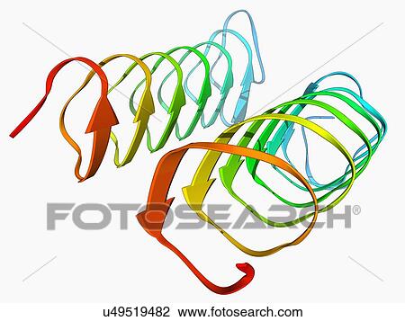 Insect antifreeze protein View Large Illustration Drawing - Insect antifreeze protein. Fotosearch