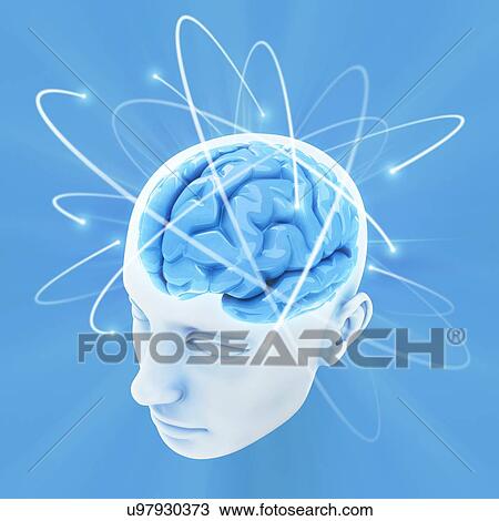 Drawing - Intelligence, conceptual artwork. Fotosearch