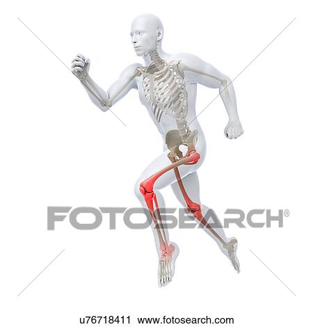 Clip Art - Joint pain, conceptual artwork. Fotosearch
