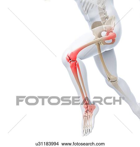 Stock Illustration - Joint pain, conceptual artwork. Fotosearch