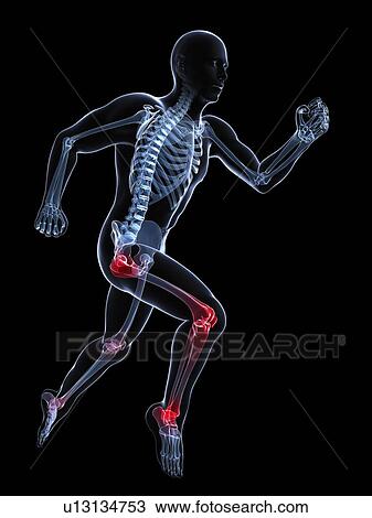 Knee pain, conceptual artwork View Large Illustration Drawing - Knee pain, conceptual artwork. Fotosearch