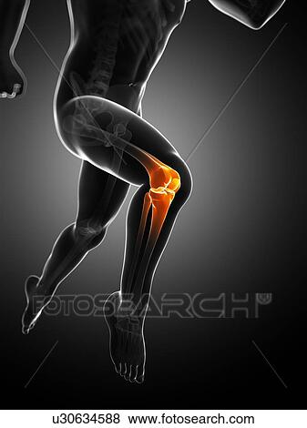 Knee pain, conceptual artwork View Large Illustration Stock Illustration - Knee pain, conceptual artwork. Fotosearch