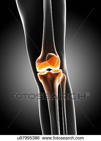 Knee pain, conceptual artwork View Large Illustration Stock Illustration - Knee pain, conceptual artwork. Fotosearch