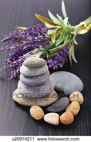Clip Art - Lavender aromatherapy. Fotosearch