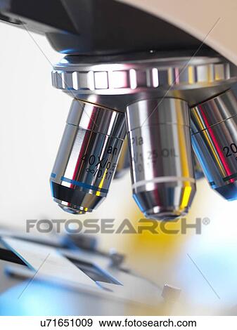 Stock Illustration - Light microscope. Fotosearch