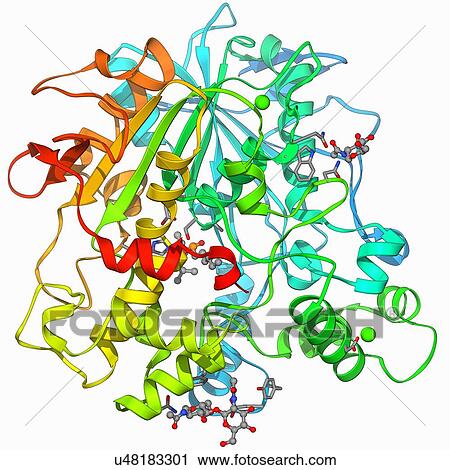 Clip Art - Lipase molecule. Fotosearch