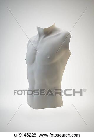 Male torso, artwork View Large Illustration Stock Illustration - Male torso, artwork. Fotosearch