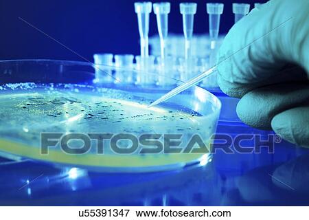 Stock Illustration - Microbiology research. Fotosearch
