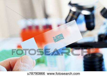 Microscope slide View Large Illustration Stock Illustration - Microscope slide. Fotosearch