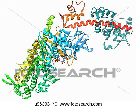 Clipart - Molecular motor protein. Fotosearch