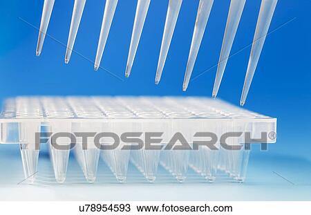 Drawing - Multi-pipette and multi-well tray. Fotosearch