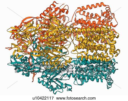 Multidrug efflux pump molecule View Large Illustration Stock Illustration - Multidrug efflux pump molecule. Fotosearch