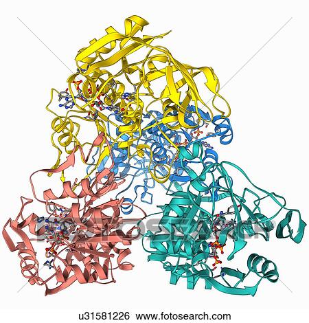 Stock Illustration - NADP-dependent alcohol dehydrogenase. Fotosearch