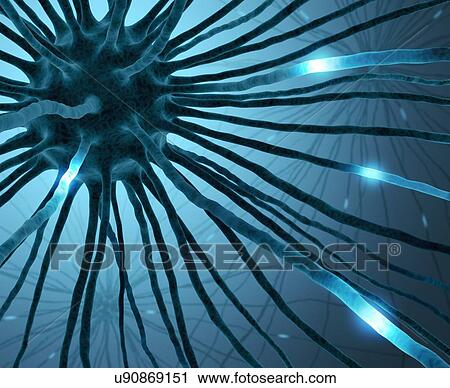 Nerve cell, artwork View Large Illustration Clip Art - Nerve cell, artwork. Fotosearch