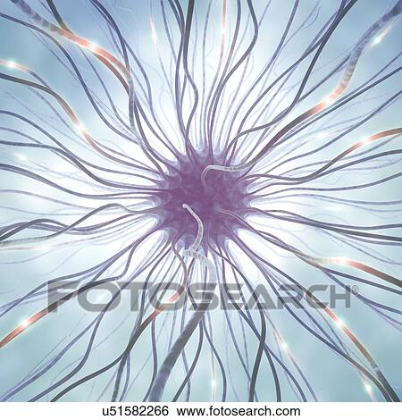 Nerve cell, artwork View Large Illustration Stock Illustration - Nerve cell, artwork. Fotosearch